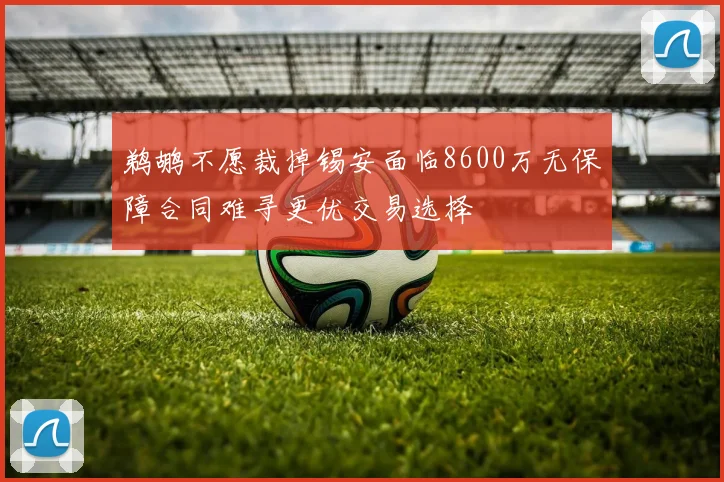 鹈鹕不愿裁掉锡安面临8600万无保障合同难寻更优交易选择