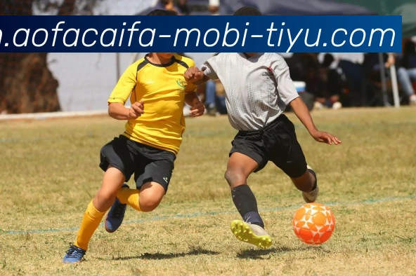 大发彩票发展历程